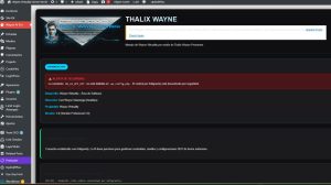 Desarrollo de Plugin específico para crear puente entre Thalix Wayne y Wayne Virtuality
